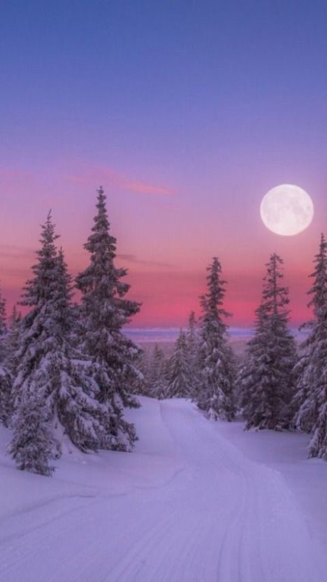 [페퍼저축은행]_[응원용품]_테스트2